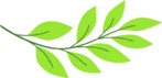 listok | ecobioshop.sk listok | ecobioshop.sk